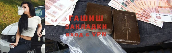 стаф Богданович