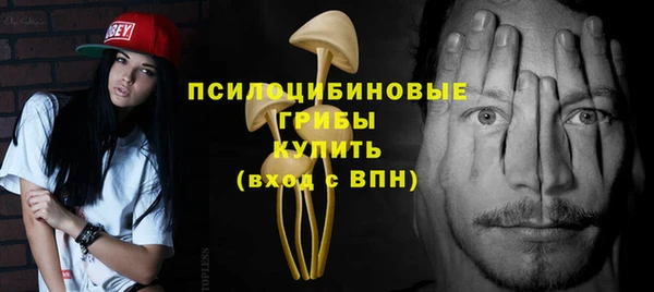 стаф Богданович