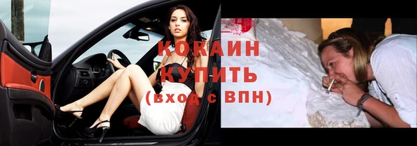стаф Богданович