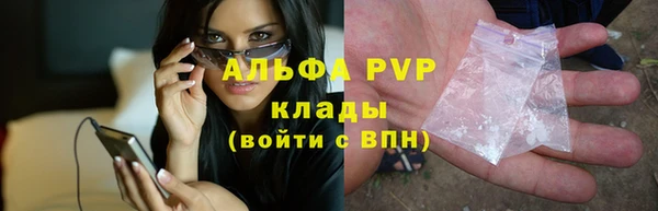 стаф Богданович