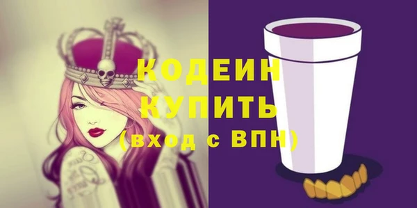 стаф Богданович