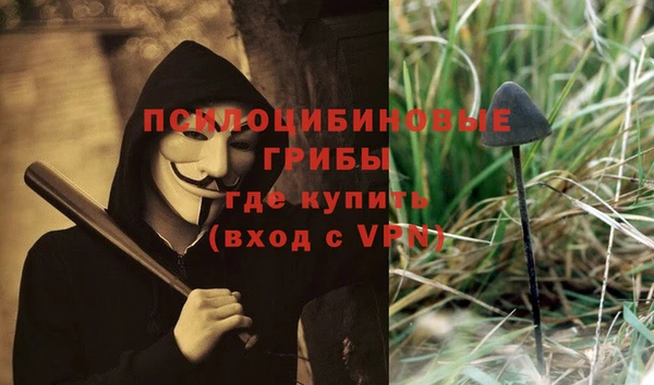 мдма Богородск