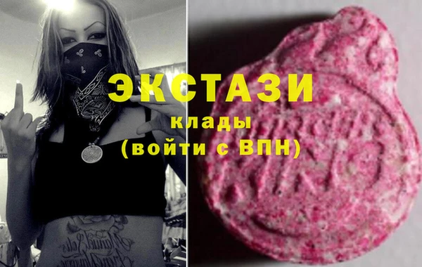 стаф Богданович