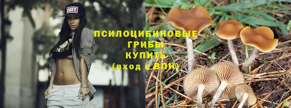 дурь Богородицк