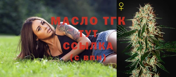 дурь Богородицк