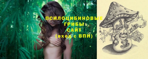 стаф Богданович