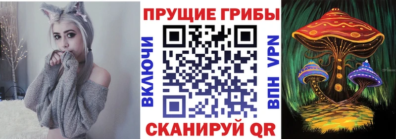 наркота  Шумерля  гидра как зайти  Псилоцибиновые грибы ЛСД 
