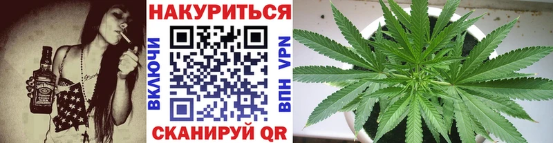 Канабис сатива  Шумерля 